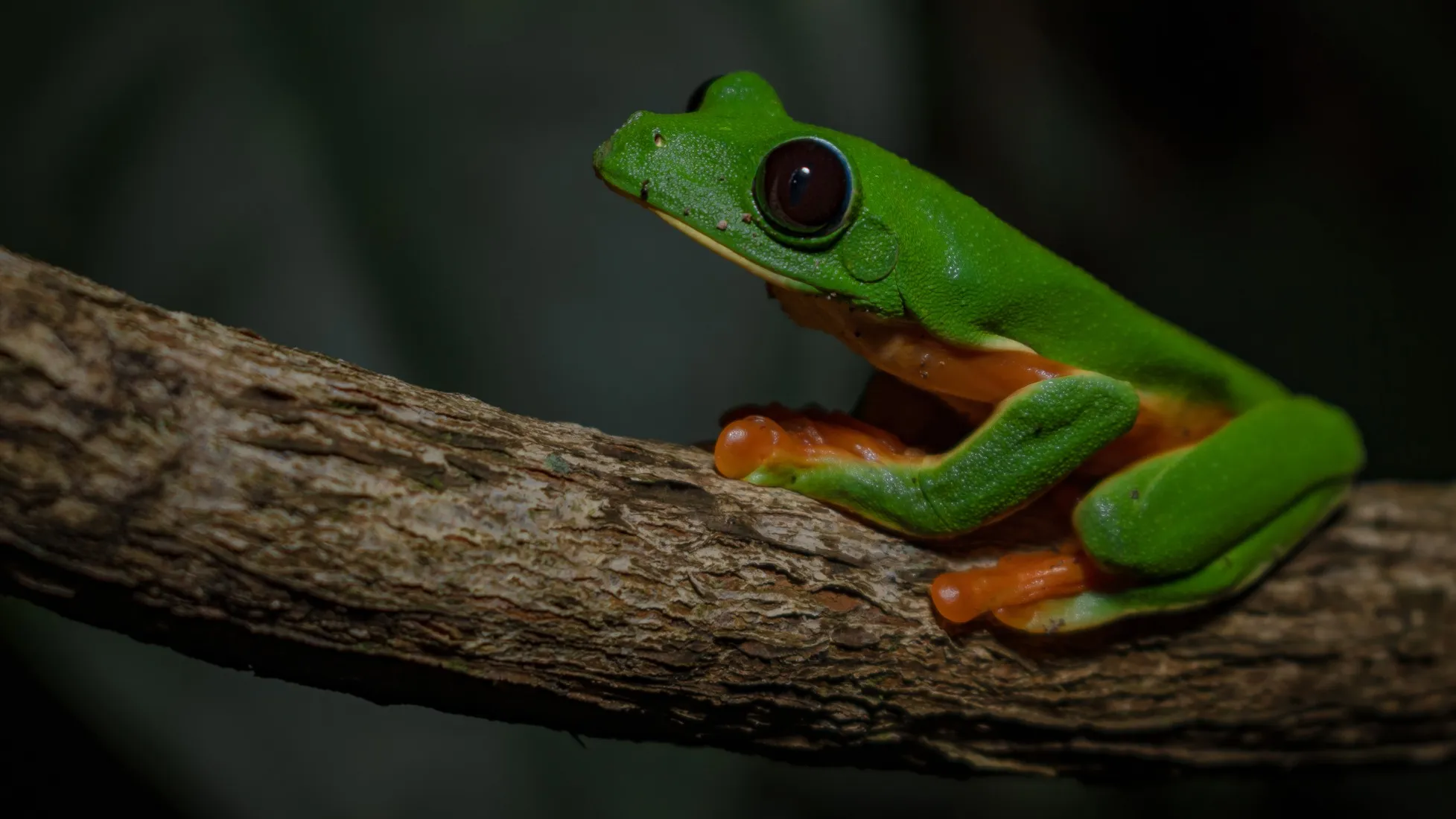 Nature background representing digital growth